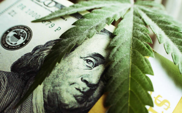 纽约市允许大麻经营者从当地税收中扣除营业费用