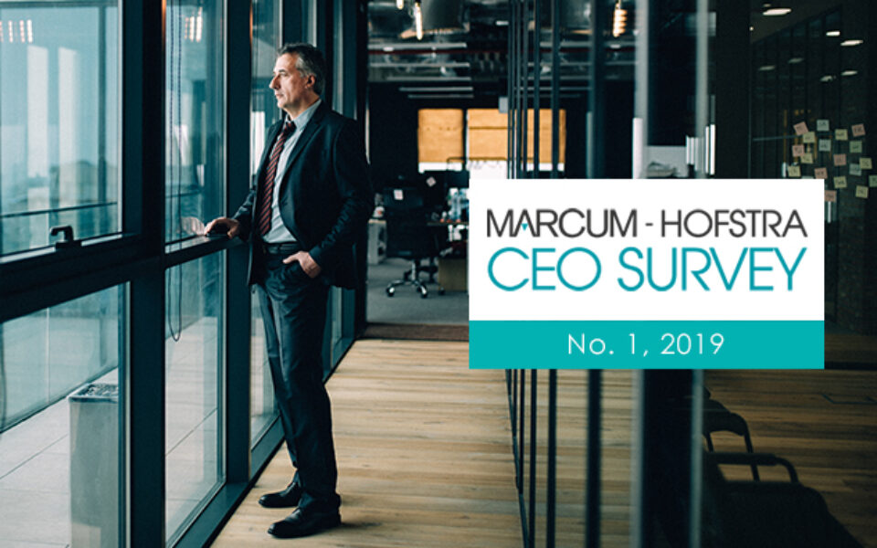 ABL Advisor reported the results of the Marcum-Hofstra CEO Survey.