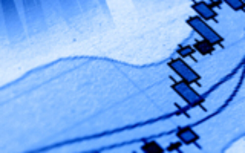 S Corporation Shareholders and Distributions