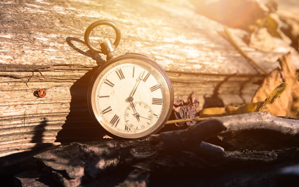 The Big Question for Seasoned Executives: When is the Right Time to Leave?