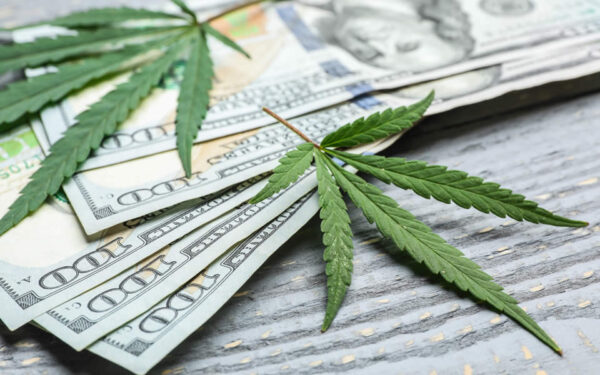 Tax Relief on the Horizon: New England’s Cannabis Businesses Break Away from 280E